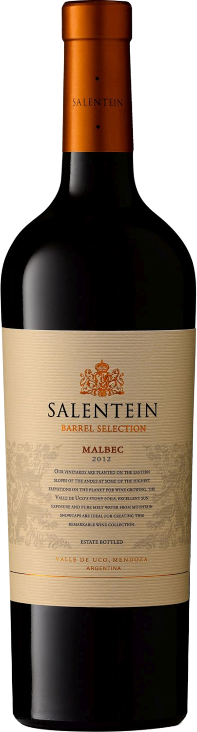 Bodegas Salentein Barrel Selection Malbec